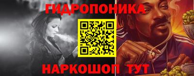 крисы Кунгур