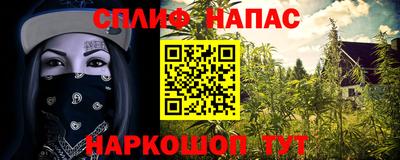 сатива Кулебаки