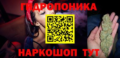 крисы Кунгур