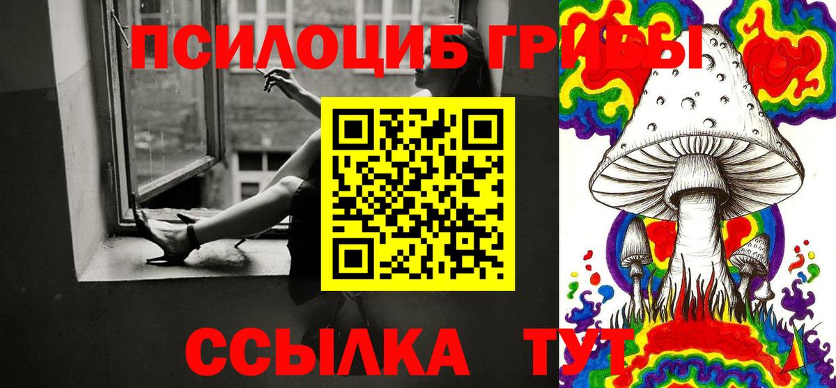 Галлюциногенные грибы мицелий  Кимовск 