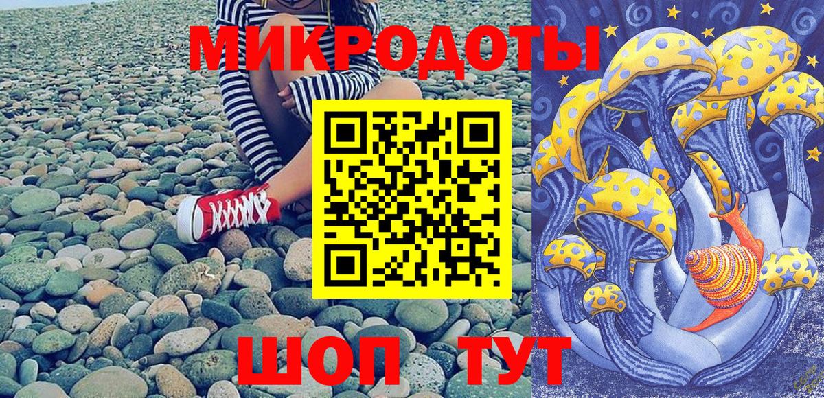 Псилоцибиновые грибы Psilocybine cubensis Кимовск