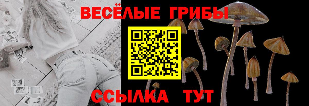Кимовск  Псилоцибиновые грибы мухоморы  Вход с VPN 