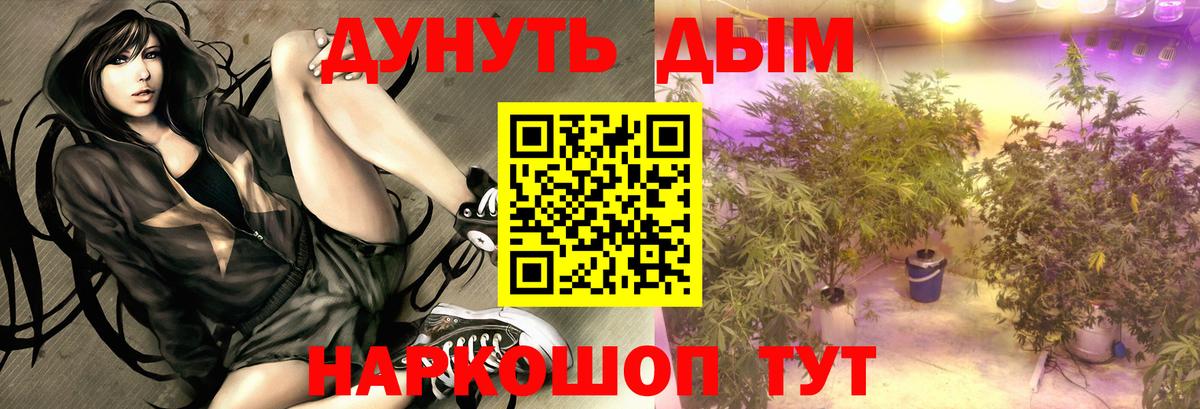 Бошки Шишки гибрид  Конопля AK-47  Кимовск  МАРИХУАНА LSD WEED 